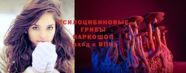 прущий лед Алексин