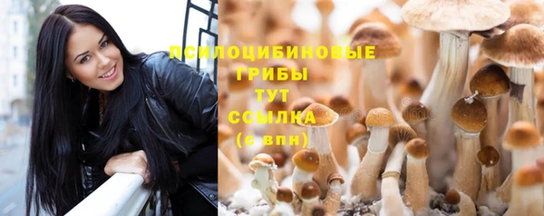 шишки Алзамай