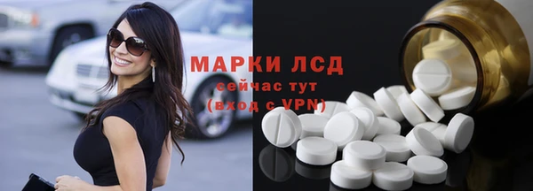 шишки Алзамай