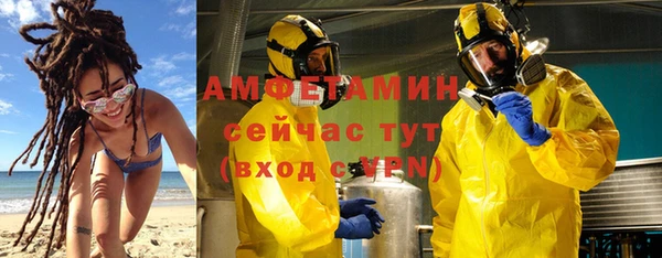 шишки Алзамай